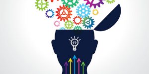 insights del consumidor